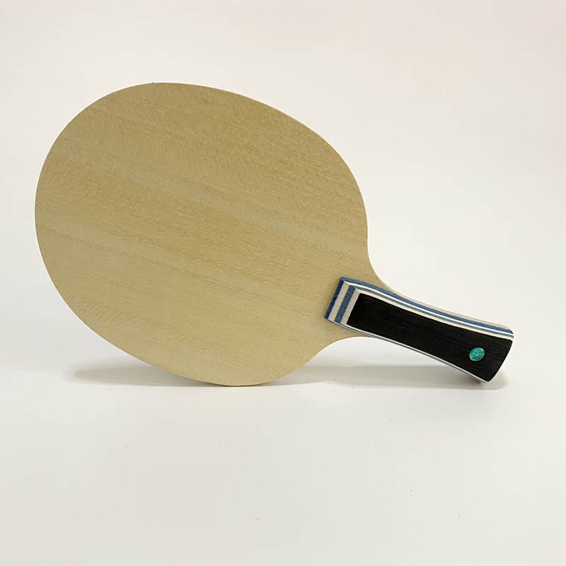 Lemuria VIS Carbon Fiber Table - đánh giá và giá Table Tennis Review