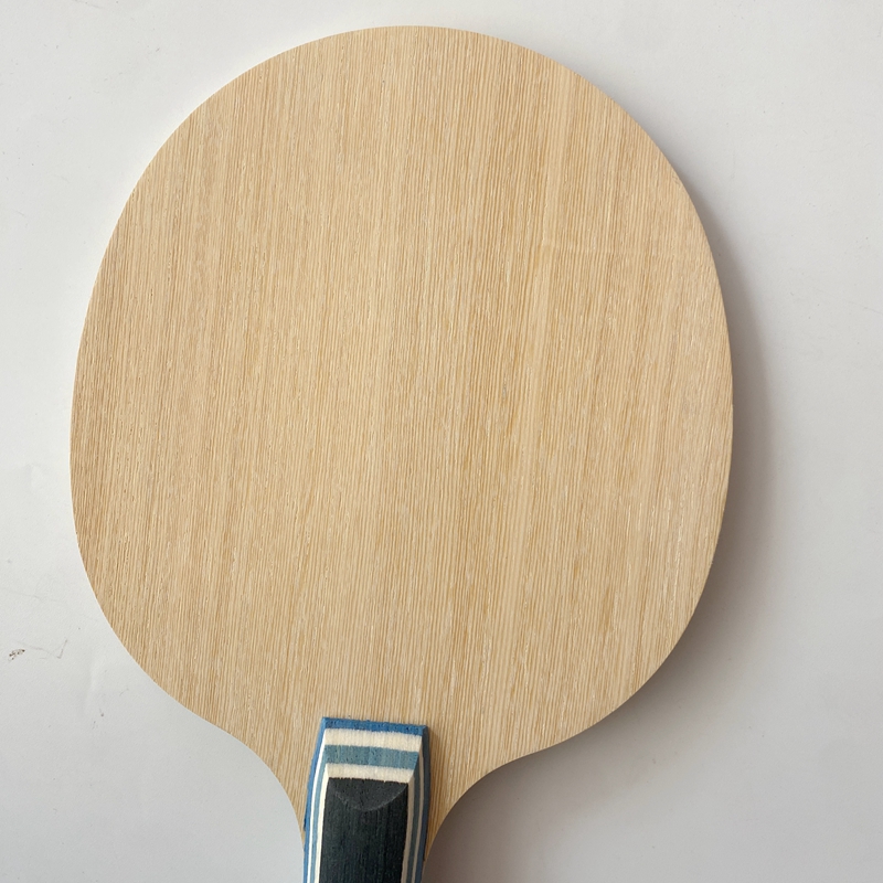 Lemuria VIS Carbon Fiber Table - đánh giá và giá Table Tennis Review
