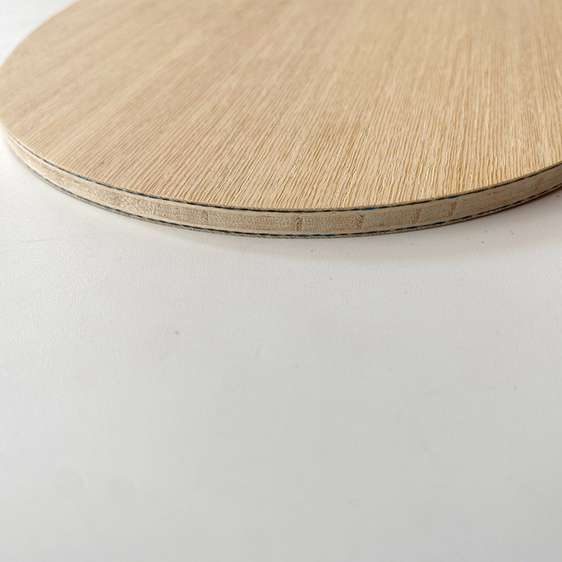 Lemuria VIS Carbon Fiber Table - đánh giá và giá Table Tennis Review