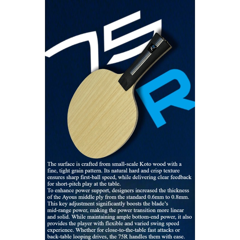 SANWEI 75R 5+2 Outer H-GLC Tab - đánh giá và giá Table Tennis Blade